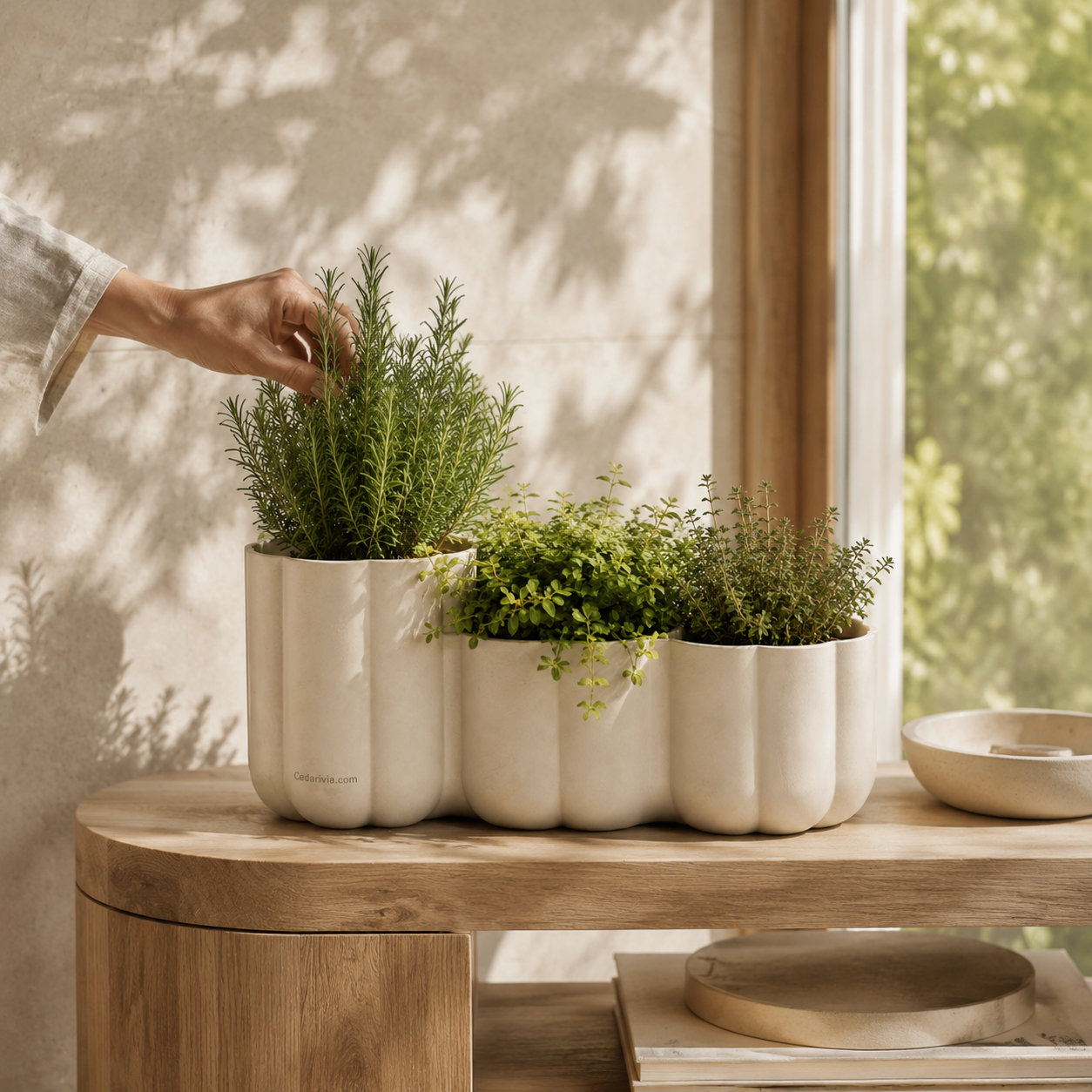 Cedarivia Forma Modular Planter styled setting